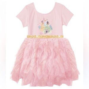 Disney Princess Pink and Gold Dance Costume